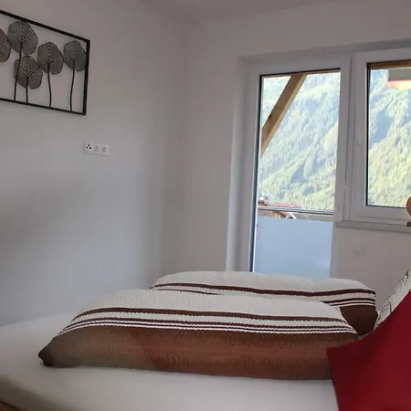 Alpenapart Hochzeiger